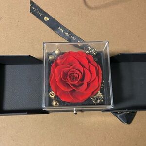 Preserved Red Rose w/ earrings